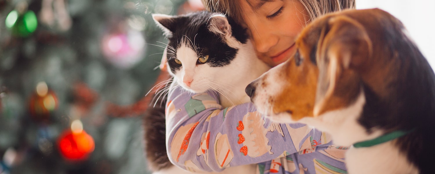 nina-bonita-embarcarse-gato-perro-min